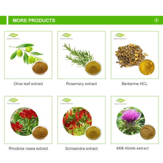 Comext 중국 공장 무료 샘플 미국 재고 10:1 100:1 200:1 HPLC 1% 2% 8% 10% Eurycomanone 분말 허브 Eurycoma Longifolia 뿌리 Longjack Tongkat Ali 추출물
